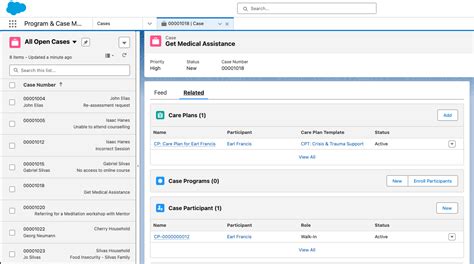 salesforce nonprofit cloud case management.